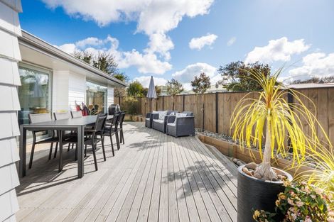 Photo of property in 163a Denbigh Street, Feilding, 4702