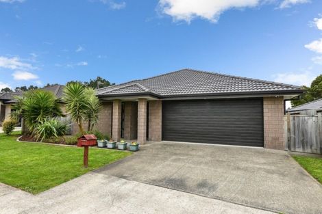 Photo of property in 29 Edgeview Crescent, Fitzroy, Hamilton, 3206