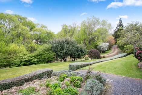 Photo of property in 85 Formby Street, Outram, 9019