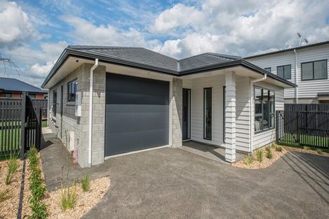 Photo of property in 88 Maanihi Drive, Rototuna North, Hamilton, 3210