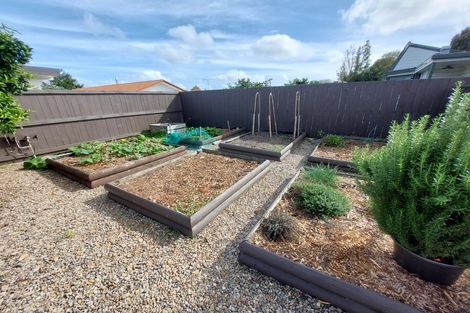 Photo of property in 12 Chequers Avenue, Chartwell, Hamilton, 3210