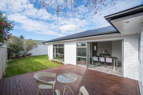 Photo of property in 227b Botanical Road, Takaro, Palmerston North, 4412