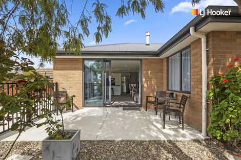 Photo of property in 35 Thorn Street, Caversham, Dunedin, 9012