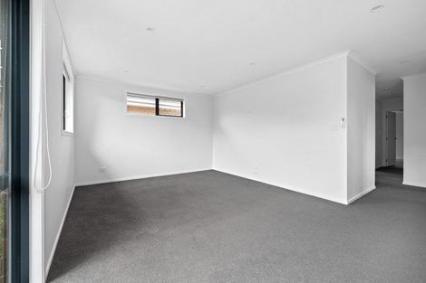 Photo of property in 53 Holland Road, Fairfield, Hamilton, 3214