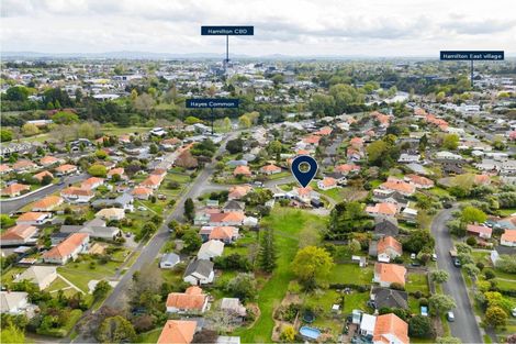 Photo of property in 48 Galway Avenue, Hamilton East, Hamilton, 3216