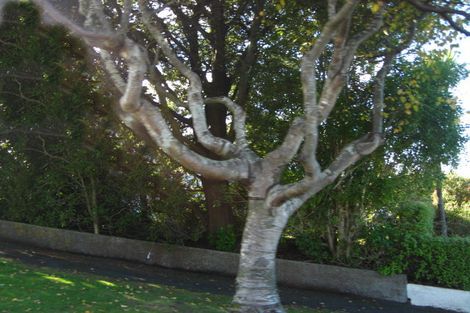 Photo of property in 118 Lynn Street, Wakari, Dunedin, 9010