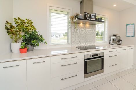 Photo of property in 60 Wapiti Avenue, Feilding, 4775