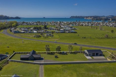 Photo of property in 19 Austin Drive, Whitianga, 3510