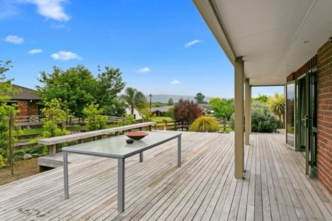 Photo of property in 120 Burwood Road, Matamata, 3400