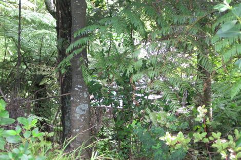 Photo of property in 207 Atkinson Road, Titirangi, Auckland, 0604