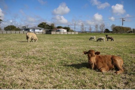 Photo of property in 3774 State Highway 12, Ruawai, 0591