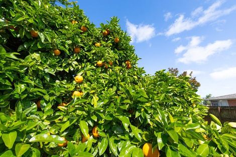 Photo of property in 4 Harlock Place, Huntly, 3700