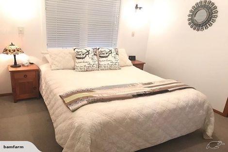 Photo of property in 50 Pagitt Street, Coromandel, 3506