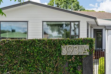 Photo of property in 393a Maungatapu Road, Maungatapu, Tauranga, 3112