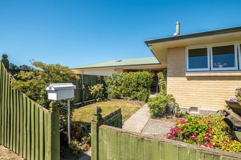 Photo of property in 10 Lowry Street, Waiau, 7332