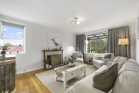 Photo of property in 96 Reservoir Street, Putaruru, 3411