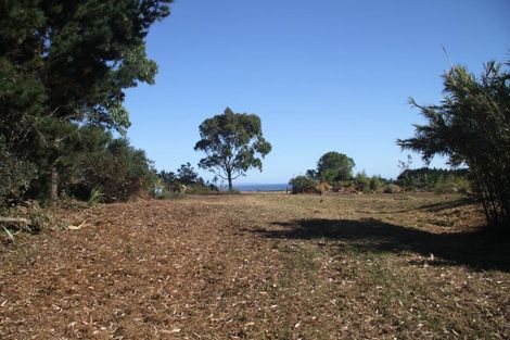 Photo of property in 463 Henderson Bay Road, Houhora, Pukenui, 0484