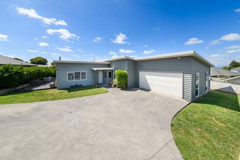 Photo of property in 54 Fraser Drive, Feilding, 4702