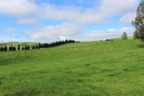 Photo of property in 1401 Kereru Road, Kereru, Hastings, 4171