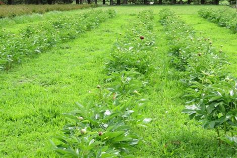 Photo of property in 237 School Road, West Eyreton, Rangiora, 7475