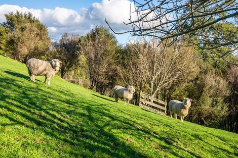 Photo of property in 1123 Akatarawa Road, Akatarawa, Upper Hutt, 5372