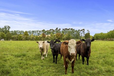 Photo of property in 1015 Two Chain Road, Swannanoa, Rangiora, 7475