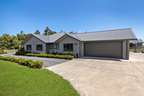 Photo of property in 126 Buller Road, Levin, 5571