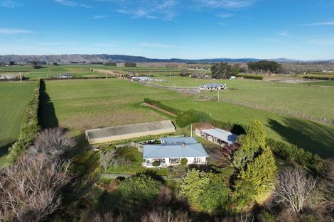 Photo of property in 85 Formby Street, Outram, 9019