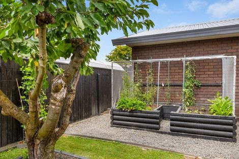 Photo of property in 149a Muller Road, Blenheim, 7201