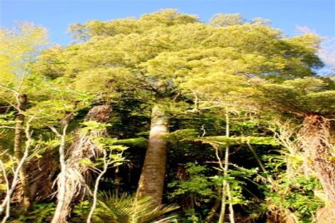 Photo of property in 850 West Coast Road, Waiatarua, Auckland, 0604