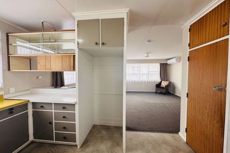 Photo of property in 101 Shamrock Street, Takaro, Palmerston North, 4412