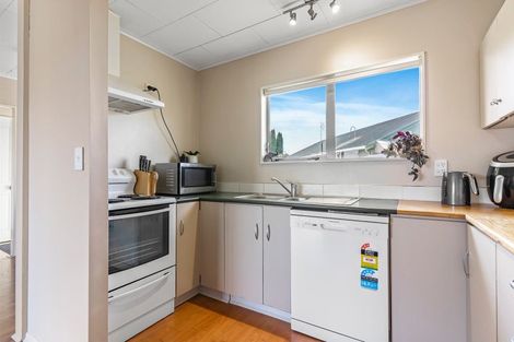 Photo of property in 21 Hinerua Street, Maungatapu, Tauranga, 3112