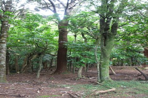 Photo of property in 1267 Church Road, Kaingaroa, Kaitaia, 0482