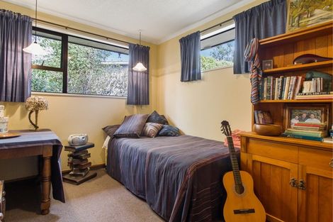 Photo of property in 21 Ameer Street, Pleasant Point, 7903