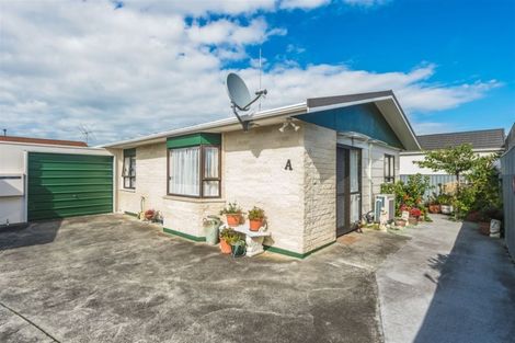 Photo of property in 27a Treadwell Street, Springvale, Whanganui, 4501