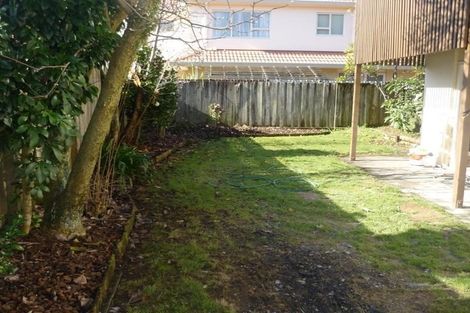 Photo of property in 44b The Drive, Epsom, Auckland, 1023