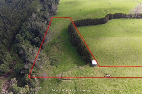 Photo of property in 160 Mcwatt Road, Waitakaruru, Ngatea, 2471