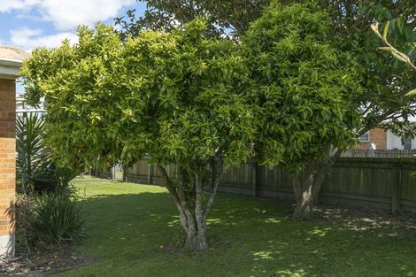 Photo of property in 13 Harlock Place, Huntly, 3700