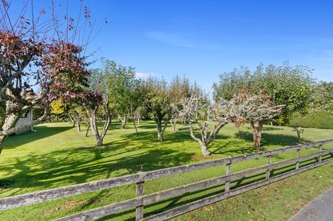 Photo of property in 223 Waingaro Road, Ngaruawahia, 3793