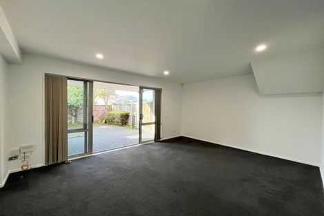 Photo of property in 17 Antrim Street, Sydenham, Christchurch, 8023