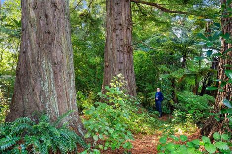 Photo of property in 26 Gladstone Road, Levin, 5571