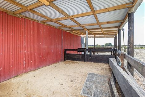 Photo of property in 73 Wakefield Road, Levin, 5571