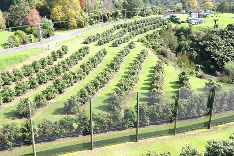 Photo of property in 14 Merrick Road, Pyes Pa, Tauranga, 3173