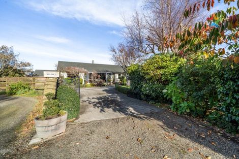 Photo of property in 141 Layard Street, Windsor, Invercargill, 9810
