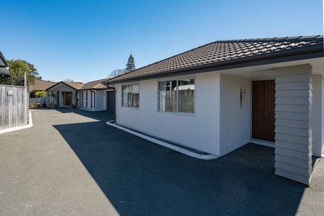 Photo of property in 175 Queen Street, Richmond, 7020