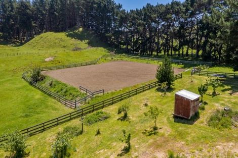 Photo of property in 55 End Farm Road, Waikanae, 5391
