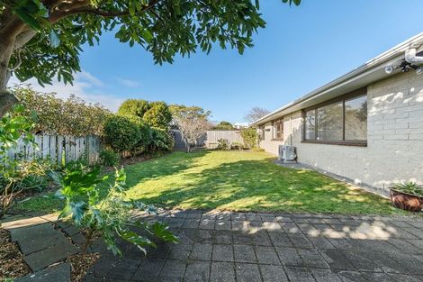 Photo of property in 123a Brooklands Road, Brooklands, New Plymouth, 4310