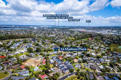 Photo of property in 16c Madison Place, Forrest Hill, Auckland, 0620