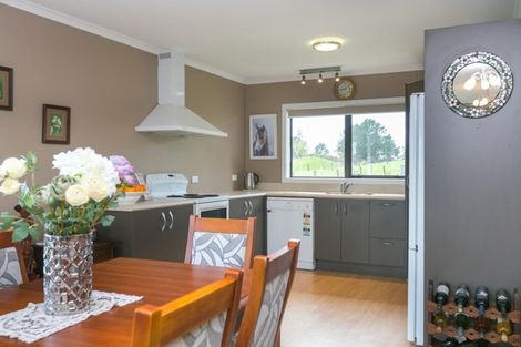 Photo of property in 617a Kaipikari Road, Urenui, 4375