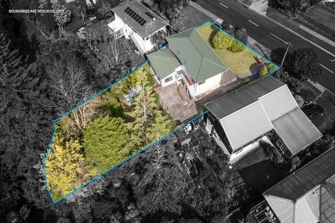 Photo of property in 102 Glendale Road, Glen Eden, Auckland, 0602